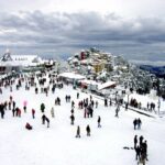 Shimla-Manali Tour 